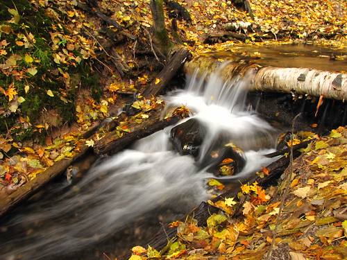 autumn fall leaves creek canon geotagged waterfall stream michigan canonpowershotsx10is hardydamnaturetrail hardydamtrail hardydamrusticnaturetrail