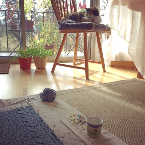 Cat naps, cowl dries #bluepeninsula #knit #cowl #knittersofinstagram #knitstagram #knitting