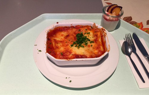 Meat cannelloni with tomato & bechamel sauce / Fleischcannelloni mit Tomatensauce & Bechamel