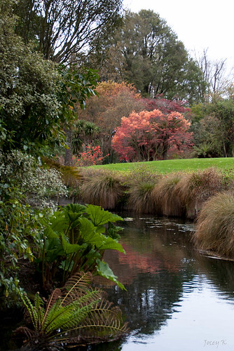 flowers trees newzealand christchurch sky plants water reflections river spring azaleas ferns avon avonriver ilamgardens