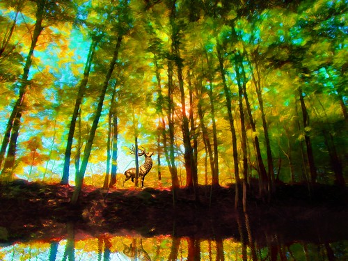 fall forest green deer deep woods reflection pool sunlight rich yellow photoshop flickr google bing daum yahoo image stumbleupon facebook getty national geographic magazine creative creativity montage composite manipulation color hue saturation flickrhivemind pinterest reddit flickriver t pixelpeeper blog blogs openuniversity flic twitter alpilo commons wiki wikimedia worldskills oceannetworks ilri comflight newsroom fiveprime photoscape winners all people young photographers paysage artistic photo pin interesting surreal avant guarde
