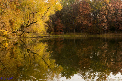 autumncolors missouri missouriphotographers thenikond7100group amarugia amarugiaarea flickrkansascitymetro
