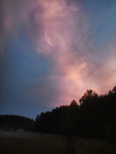 trees sunset sky field clouds fence sweden meadow uppland rasbo
