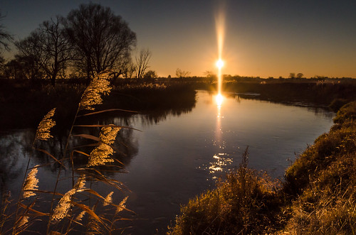 autumn sunset shadow sun sunlight reflection reed grass river landscape poland waterscape silhuette piotrfil