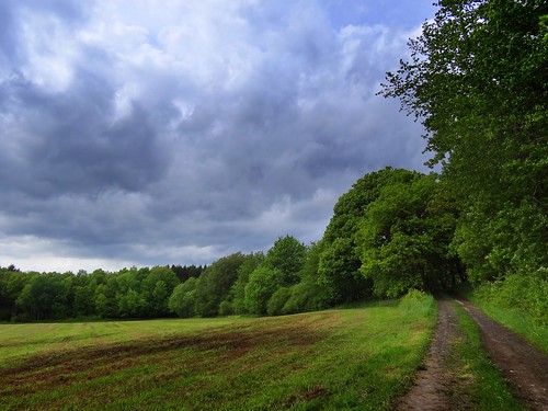 road blue trees sky green nature rain weather clouds germany landscape deutschland countryside spring hessen path rainy hesse