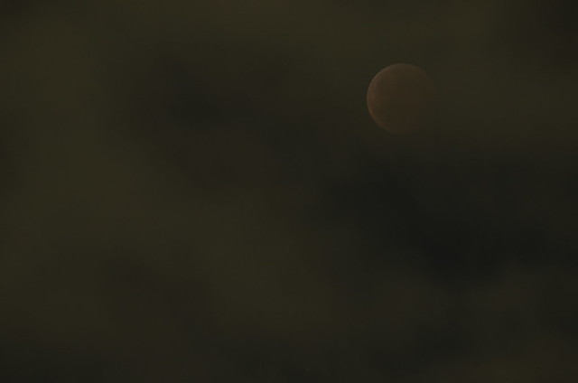 皆既月食 a total eclipse of the moon 2014年10月8日