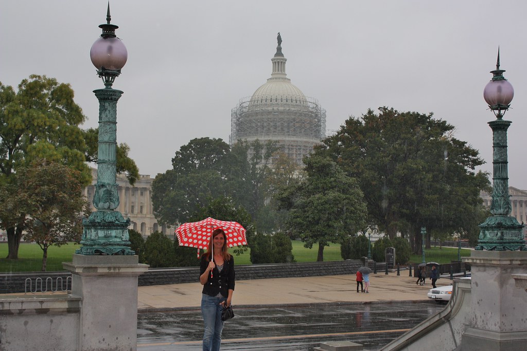 Washington DC Rain Day