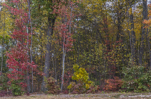 autumn connecticut originalnef staffordsprings tamron18270 johnjmurphyiii foliage