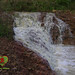 Ibiza - Waterfall-Fishpond-OM-Organic-Permaculture-Food-Forest-Farm-Kampot-Cambodia-01