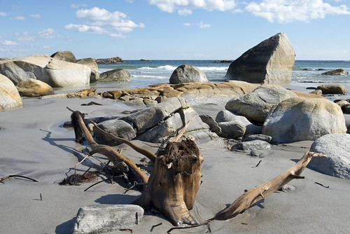 canada beach nikon novascotia driftwood scrumpy kejimkujik d800 seasideadjunct jacqualine scrumpy10 harborrockstrail