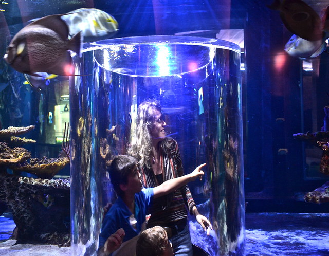 nais aquarium