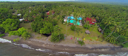 ocean sea pool coast asia asien meer philippines palm tropical phl aerialphotography küste luftbild philippinen palmen luftaufnahme dauin ozean tropisch negrosoriental gopro bahuraresort