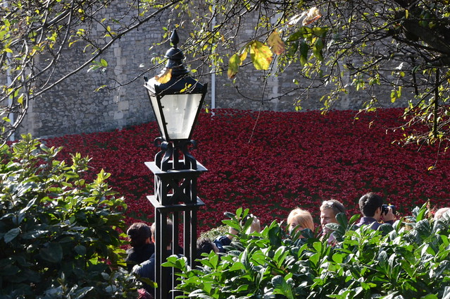 Remembrance day 11