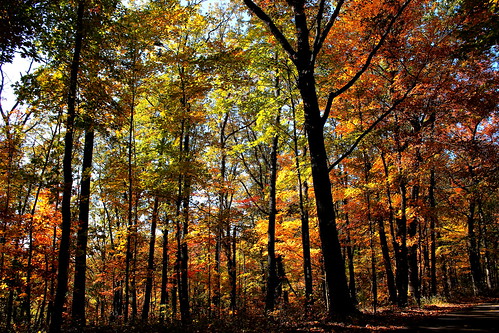 friends fall colors indiana skylinedrive jacksoncounty brownstown