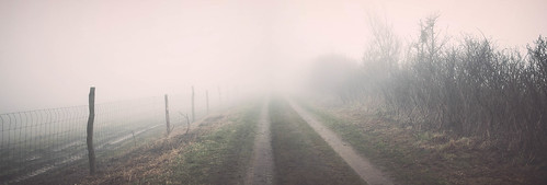road panorama nature grass fog fence landscape denmark nikon danmark jutland jylland bov