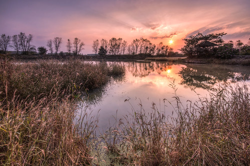 china park sunset reflection history nature grass landscape three twilight pond silent serene tranquil hdr relics hefei kingdoms ilobsterit