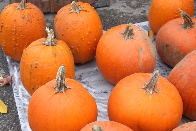 farmers-market-pumpkins