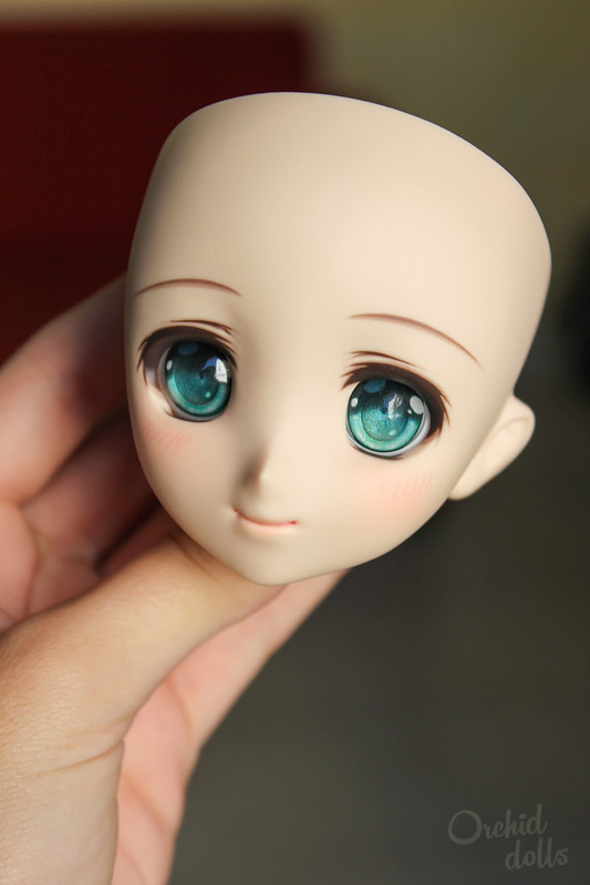 WDS new eyes!