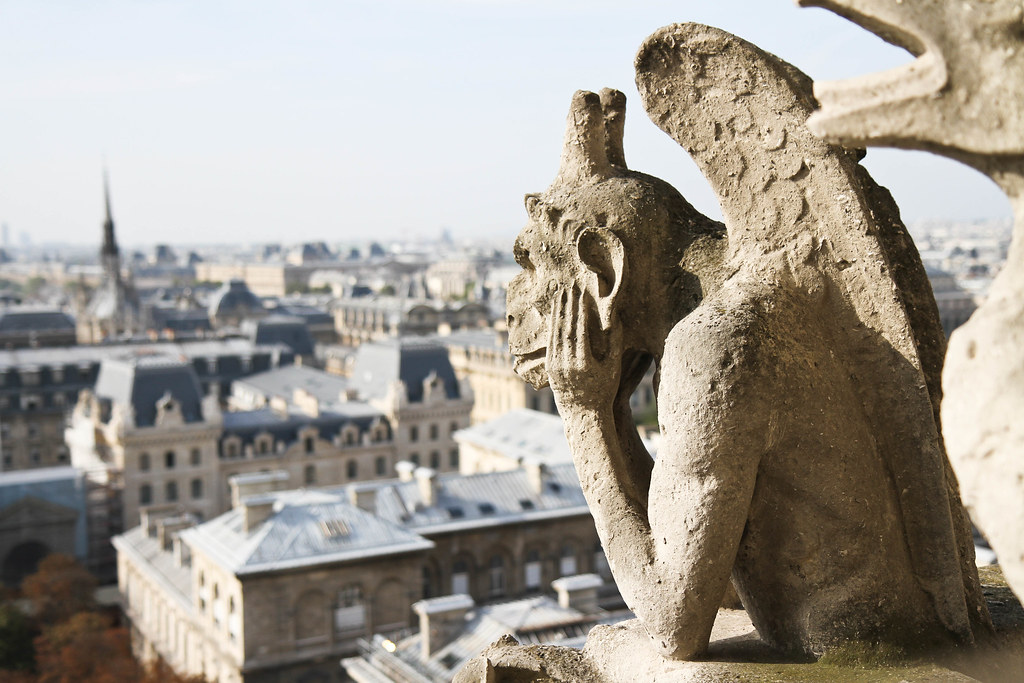 Paris atop Notre Dame