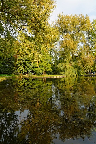 kessello park provinciedomein lake leuven vlaamsbrabant louvain trees water reflections landscape nature brabantflamand belgium belgië belgique nikon d7100 1685mmf3556 pantchoa françoisdenodrest