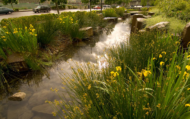 Rain Garden at Oregon Convention Center (by: C. Bruce Forster, courtesy of ASLA)