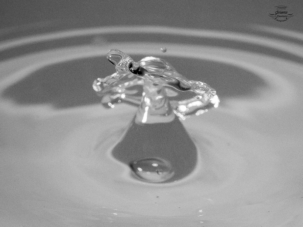 Droplet 18 - Pure water
