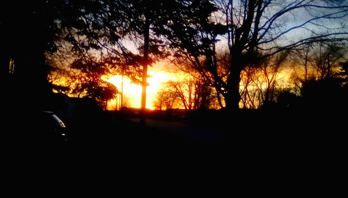 firey sunset trees sky neighborhood menominee uppermichigan flicker365 52weeksofphotographyweek16