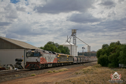 train locomotive freight grain country victoria diesel logistics goldfields qube semaphore elevator
