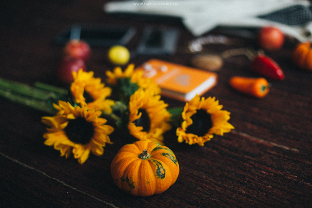 My little things: October