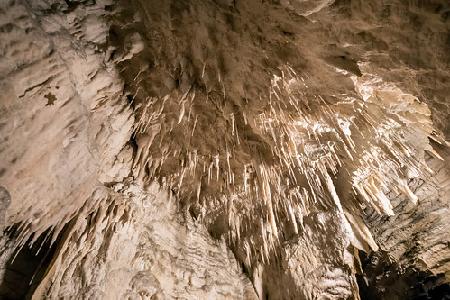 newzealand mystery magic nz limestone waikato northisland waitomo stalactites stalacmites aranuicave drycave strawformations stalactiterooftopstraws