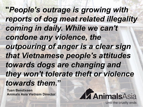 Animals Asia's Vietnam Director Tuan Bendixsen on the trade in Vietnam