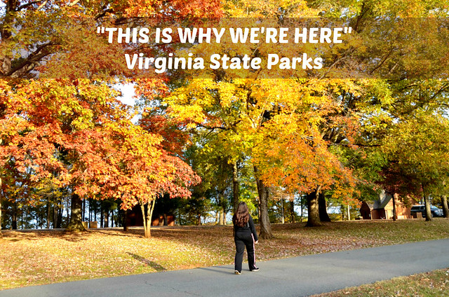 Virginia State Parks - walk near the cabins at Staunton River State Park Nov 9, 2014
