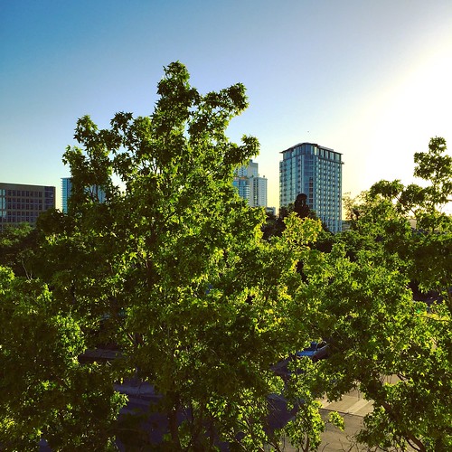iphoneography austin texas atx centraltexas sky trees treetops urbanjungle skyscrapers sunset urbanlandscape street corner clearsky spring blue green car pavement leaves