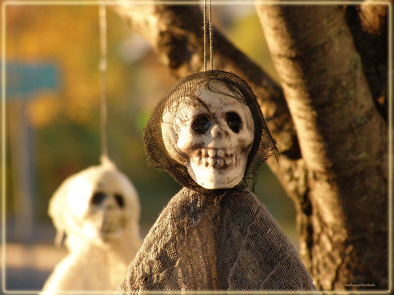 ~ spooky, scary, skeletons...
