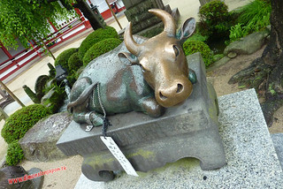 P1060403 El torito en el Tenmangu  (Dazaifu) 12-07-2010 copia