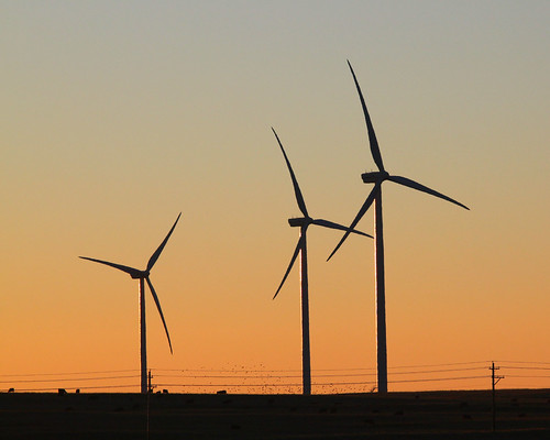 sunrise windmills 2014 paynelake