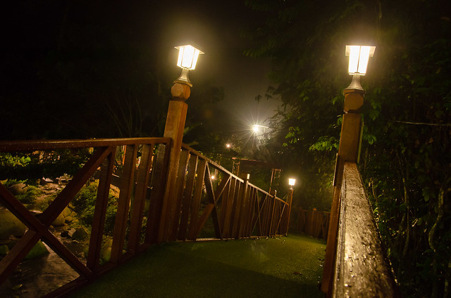 The bridge of Tanah Aina Farrah Soraya during night time