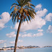 Ibiza - Palm beach
