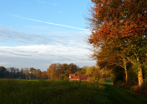 autumn house holland fall home netherlands rural landscape herfst nederland huis achterhoek winterswijk landschap gelderland landelijk woold panasonicdmcfz150 1190016