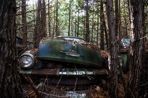 old trees cars forest junk nikon rust decay rusted junkyard f4 crushed 1635 d600 emptyquarter na3eem