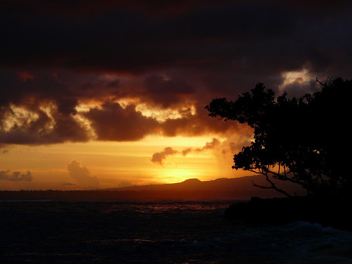 samoa westernsamoa aganoa sunset pacific island tree colours sun beach sea panasonic dmc fz18 polynesia travel michél pretzsch savaii michel diamir erlebnisreisen dresden