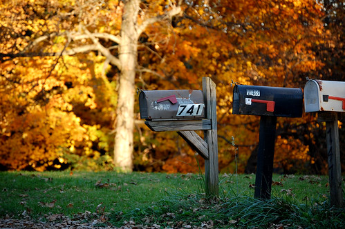 autumn sunset fall nature leaves mailbox fallingleaves