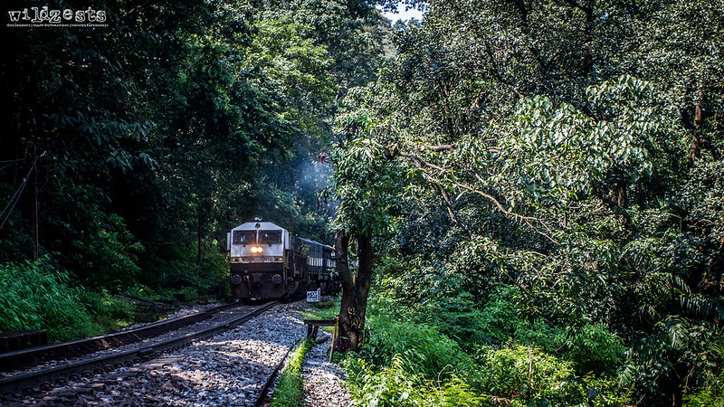 Train-at-Dudhsagar