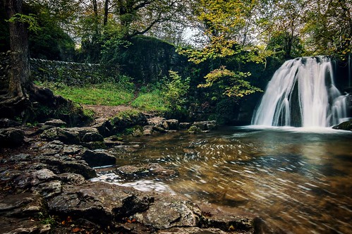 autumn motion tree water leaves wall river waterfall rocks long exposure yorkshire blurred scenary foss aire janets dales malham goredale