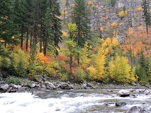 autumn color colour fall nature beauty river wentacheeriver