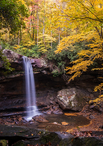 autumn leaves forest river waterfall woods pregame ohiopyle laurelhighlands gamewinner pregamesweep