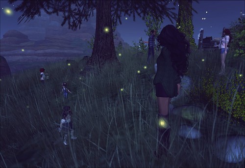 Catching fireflies