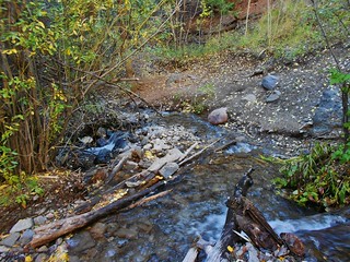 Second Creek Crossing on Williams Creek Trail