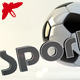 Sports Balls Logo thumb