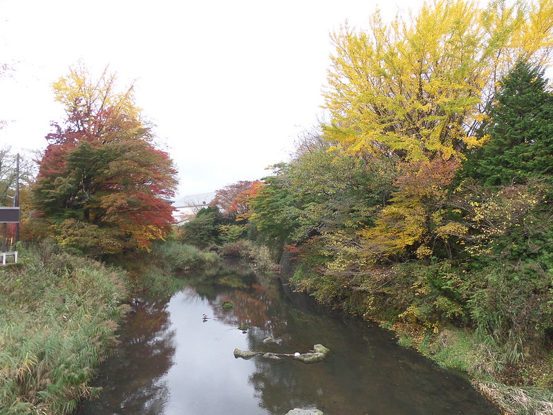 View of Hakone River